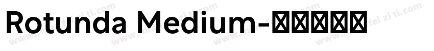 Rotunda Medium字体转换